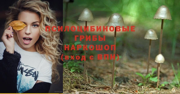 a pvp Белокуриха